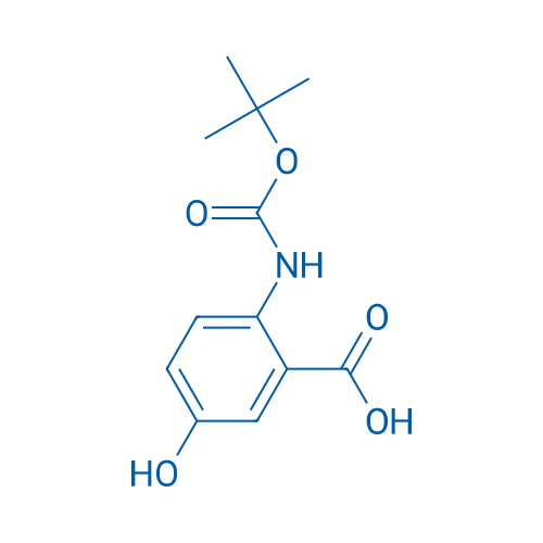 2-tert-Butoxycarbonylamino-5-hydroxybenzoic acid 1g