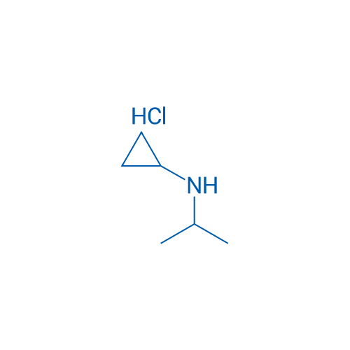 N-Isopropylcyclopropanamine hydrochloride 250mg