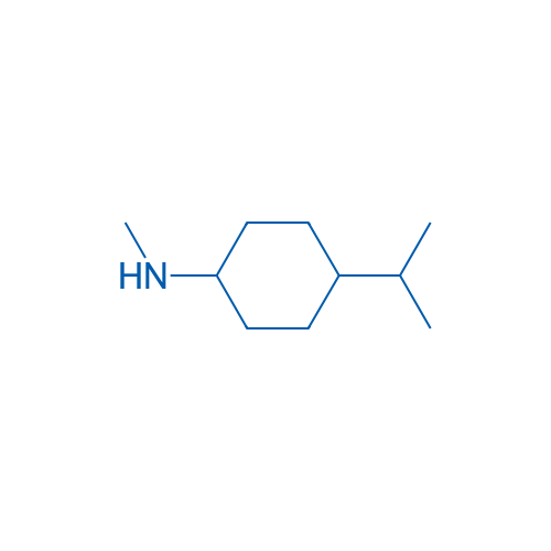 N-Methyl-4-(propan-2-yl)cyclohexan-1-amine 1g