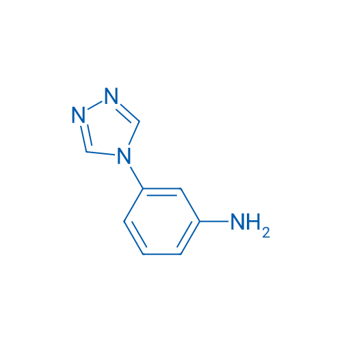 3-(4H-1,2,4-Triazol-4-yl)aniline 250mg