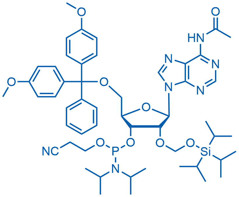 2'-TOM A(Ac) amidite 250mg