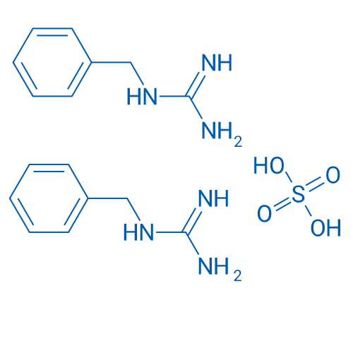 1-Benzylguanidine hemisulfate 10g
