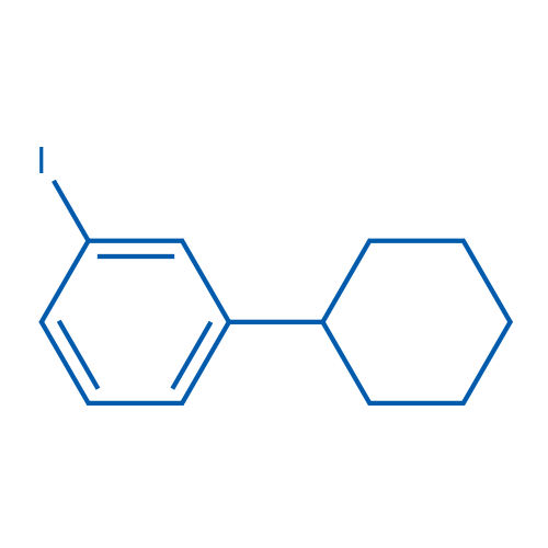 1-Cyclohexyl-3-iodobenzene 250mg