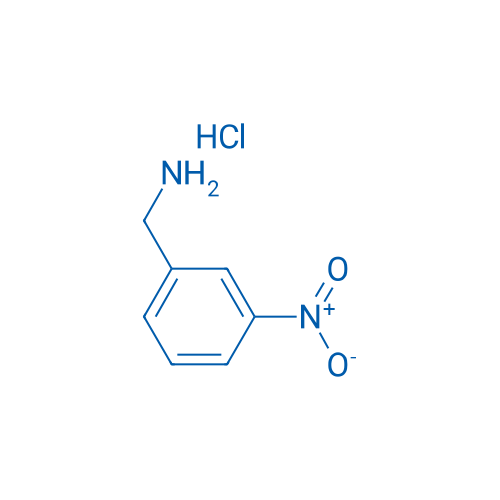 3-Nitrobenzylammonium hydrochloride 10g