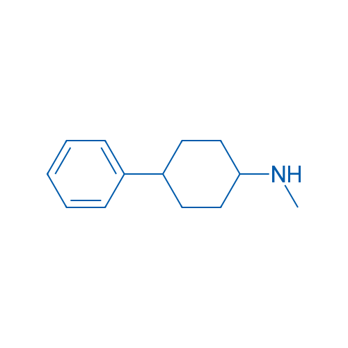 N-Methyl-4-phenylcyclohexan-1-amine 1g
