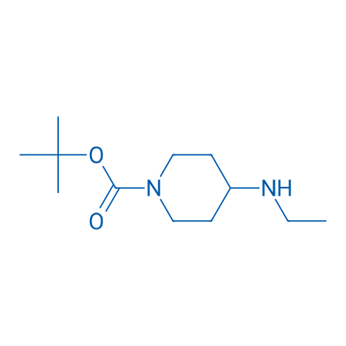 1-Boc-4-Ethylaminopiperidine 250mg