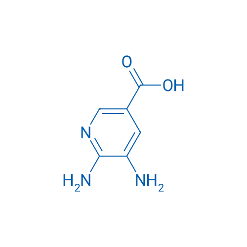 5,6-Diaminonicotinic acid 1g