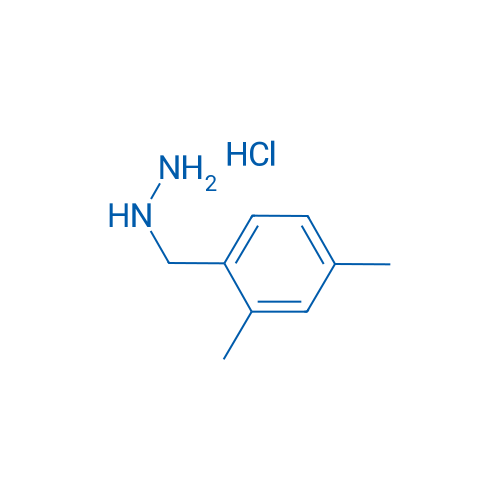 (2,4-Dimethylbenzyl)hydrazine hydrochloride 100mg