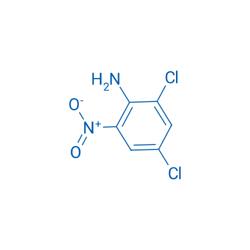 2,4-Dichloro-6-nitroaniline 100g