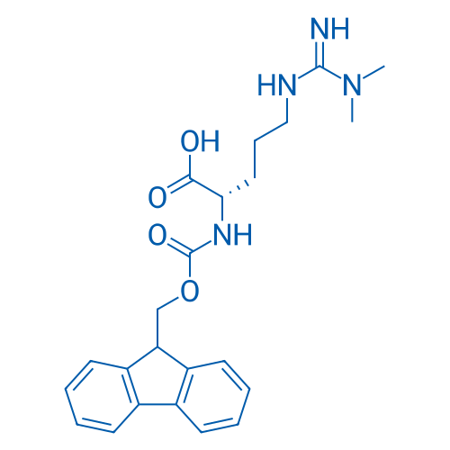 Fmoc-L-Arg(Me)2-OH 100mg