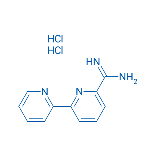 [2,2'-Bipyridine]-6-carboximidamide dihydrochloride 1g