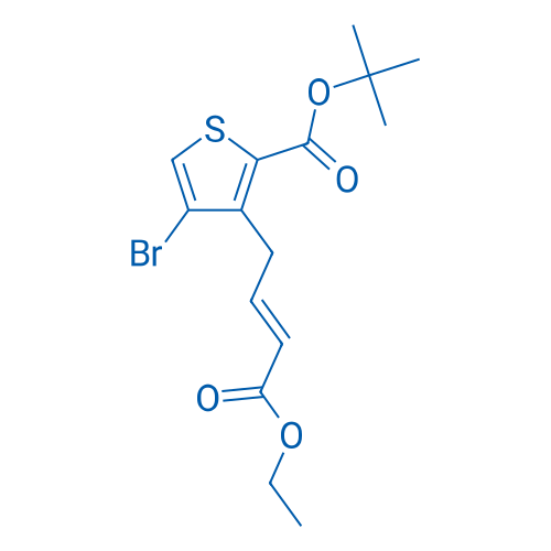 (E)-tert-Butyl 4-bromo-3-(4-ethoxy-4-oxobut-2-en-1-yl)thiophene-2-carboxylate 1g