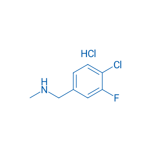 1-(4-Chloro-3-fluorophenyl)-N-methylmethanamine hydrochloride 1g