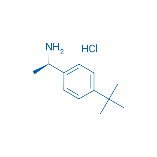 (R)-1-(4-(tert-Butyl)phenyl)ethanamine hydrochloride 1g