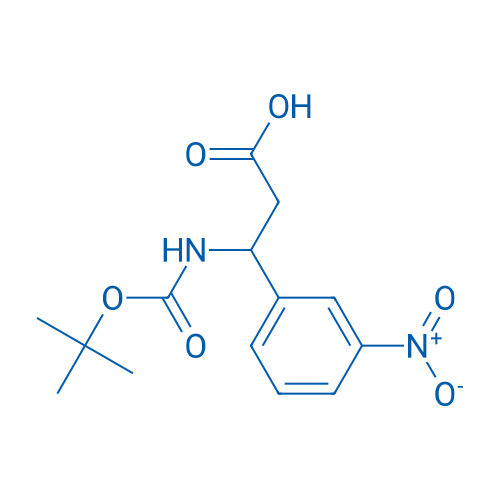 3-(Boc-amino)-3-(3-nitrophenyl)propionic Acid 1g
