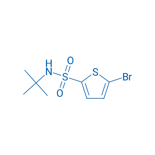 N-tert-Butyl 5-bromo-2-thiophenesulfonamide 5g