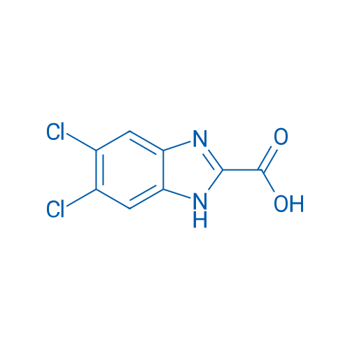 5,6-Dichloro-1H-benzimidazole-2-carboxylic acid 100mg