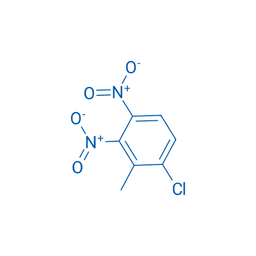 1-Chloro-2-methyl-3,4-dinitrobenzene 1g
