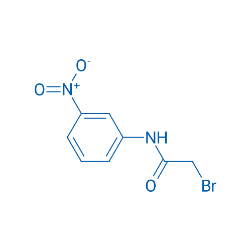 2-Bromo-N-(3-nitrophenyl)acetamide 1g