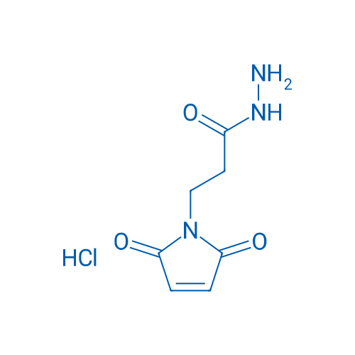 3-(2,5-Dioxo-2,5-dihydro-1H-pyrrol-1-yl)propanehydrazide HCl 5g