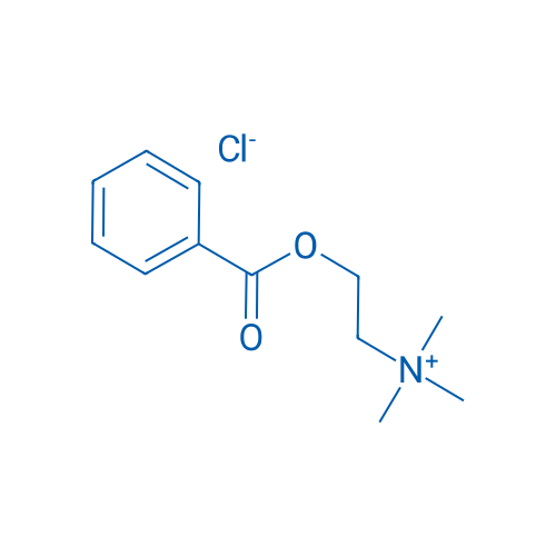 Benzoylcholine chloride 25g