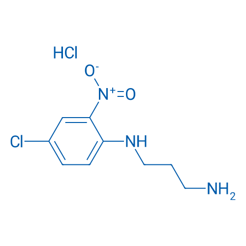N1-(4-Chloro-2-nitrophenyl)propane-1,3-diamine hydrochloride 1g