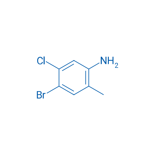 (4-bromo-5-chloro-2-methylphenyl)amine 25g