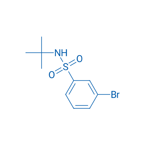 3-Bromo-N-(tert-butyl)benzenesulfonamide 25g