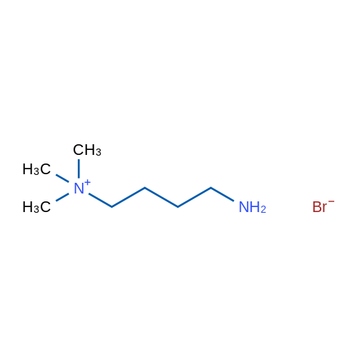 (4-Aminobutyl)trimethylazanium bromide 1g