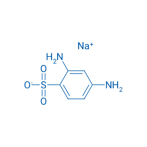 Sodium 2,4-diaminobenzenesulfonate 1g