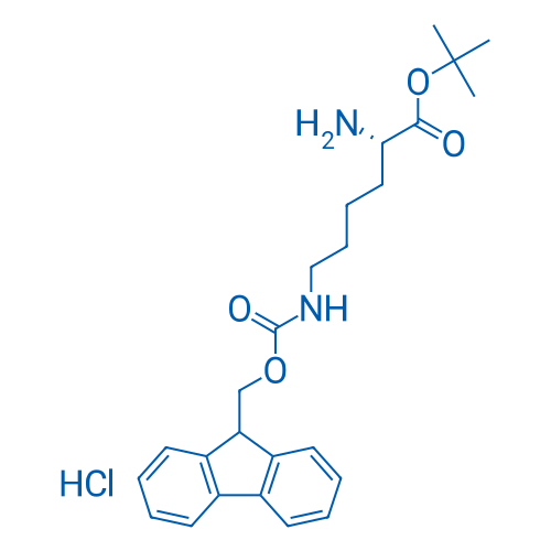 H-Lys(Fmoc)-OtBu·HCl 25g