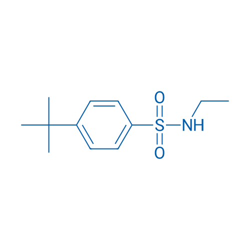 4-tert-Butyl-n-ethylbenzene-1-sulfonamide 5g