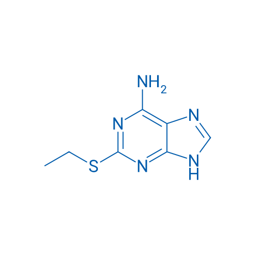 2-(Ethylthio)-9H-purin-6-amine 1g