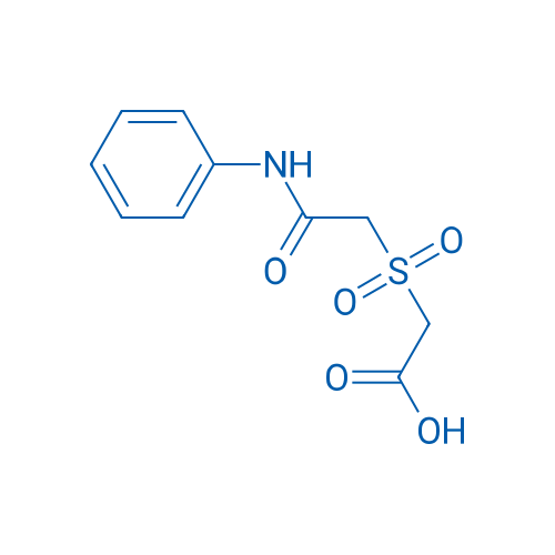 2-[(Phenylcarbamoyl)methanesulfonyl]acetic acid 1g