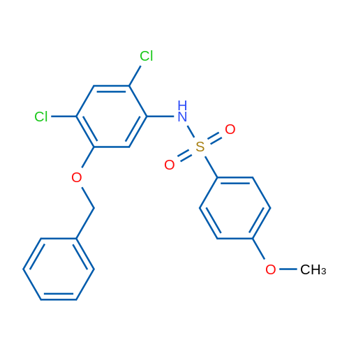N-[5-(Benzyloxy)-2,4-dichlorophenyl]-4-methoxybenzene-1-sulfonamide 1g