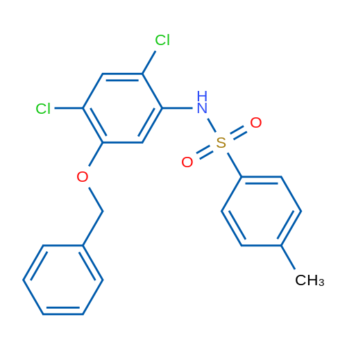 N-[5-(Benzyloxy)-2,4-dichlorophenyl]-4-methylbenzene-1-sulfonamide 1g
