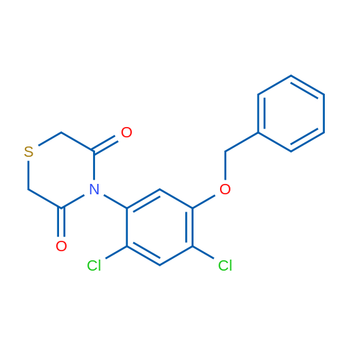 4-[5-(Benzyloxy)-2,4-dichlorophenyl]thiomorpholine-3,5-dione 1g