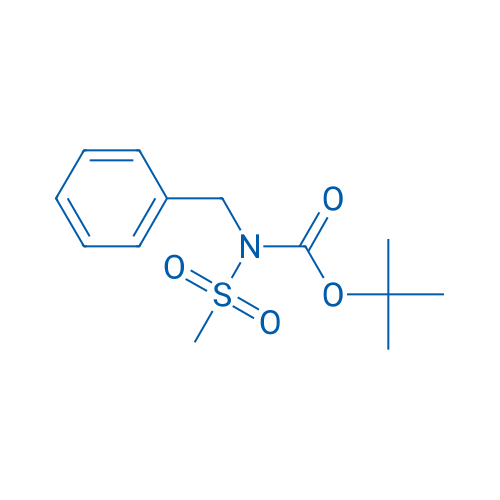 tert-Butyl N-benzyl-N-methanesulfonylcarbamate 1g