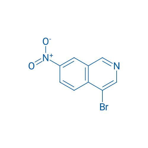 4-Bromo-7-nitroisoquinoline 100mg