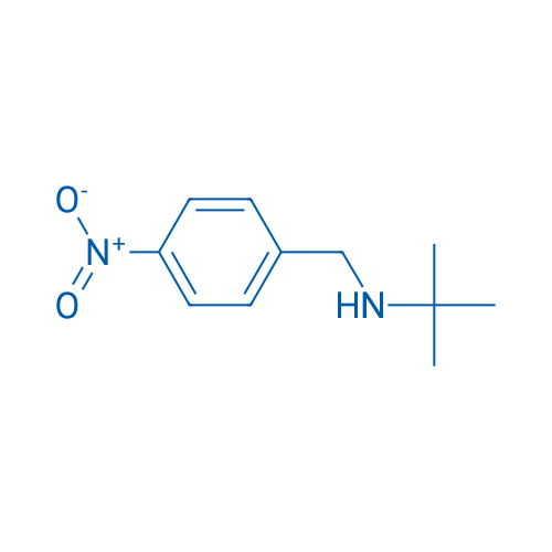 N-(tert-Butyl)-n-(4-nitrobenzyl)amine 5g