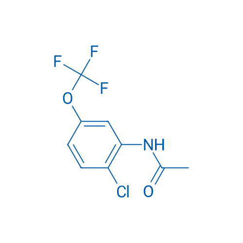 N-(2-Chloro-5-(trifluoromethoxy)phenyl)acetamide 1g