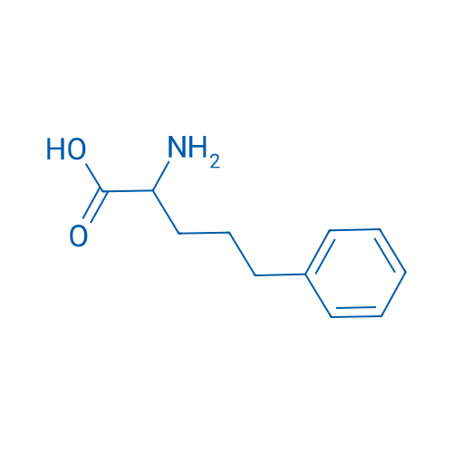 2-Amino-5-phenylpentanoic acid 5g