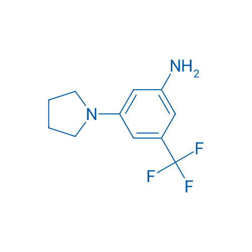 3-(Pyrrolidin-1-yl)-5-(trifluoromethyl)aniline 250mg