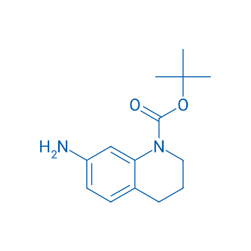 tert-Butyl 7-amino-3,4-dihydroquinoline-1(2H)-carboxylate 100mg