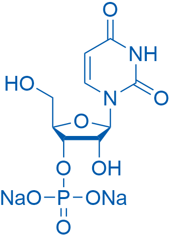 3'-UMP disodium 10mg