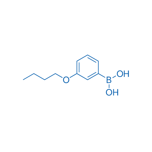 3-Butoxyphenylboronic acid 1g