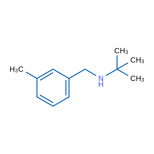 N-(3-Methylphenylmethyl)tert-butylamine 5g