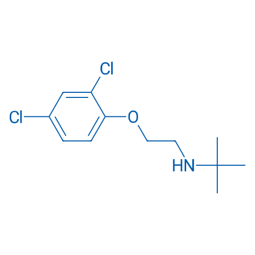 N-(2-(2,4-Dichlorophenoxy)ethyl)-2-methylpropan-2-amine 1g