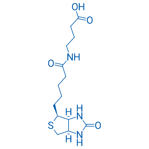 N-Biotinyl-4-aminobutanoic acid 50mg