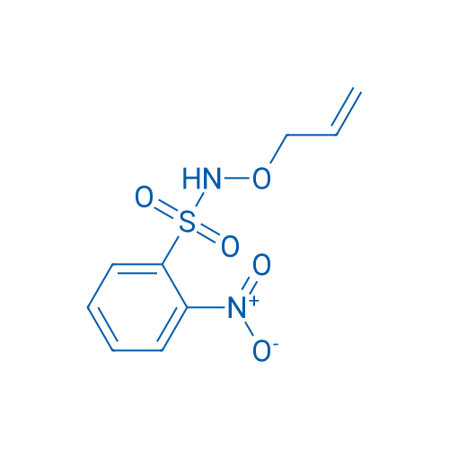 N-(Allyloxy)-2-nitrobenzenesulfonamide 25g